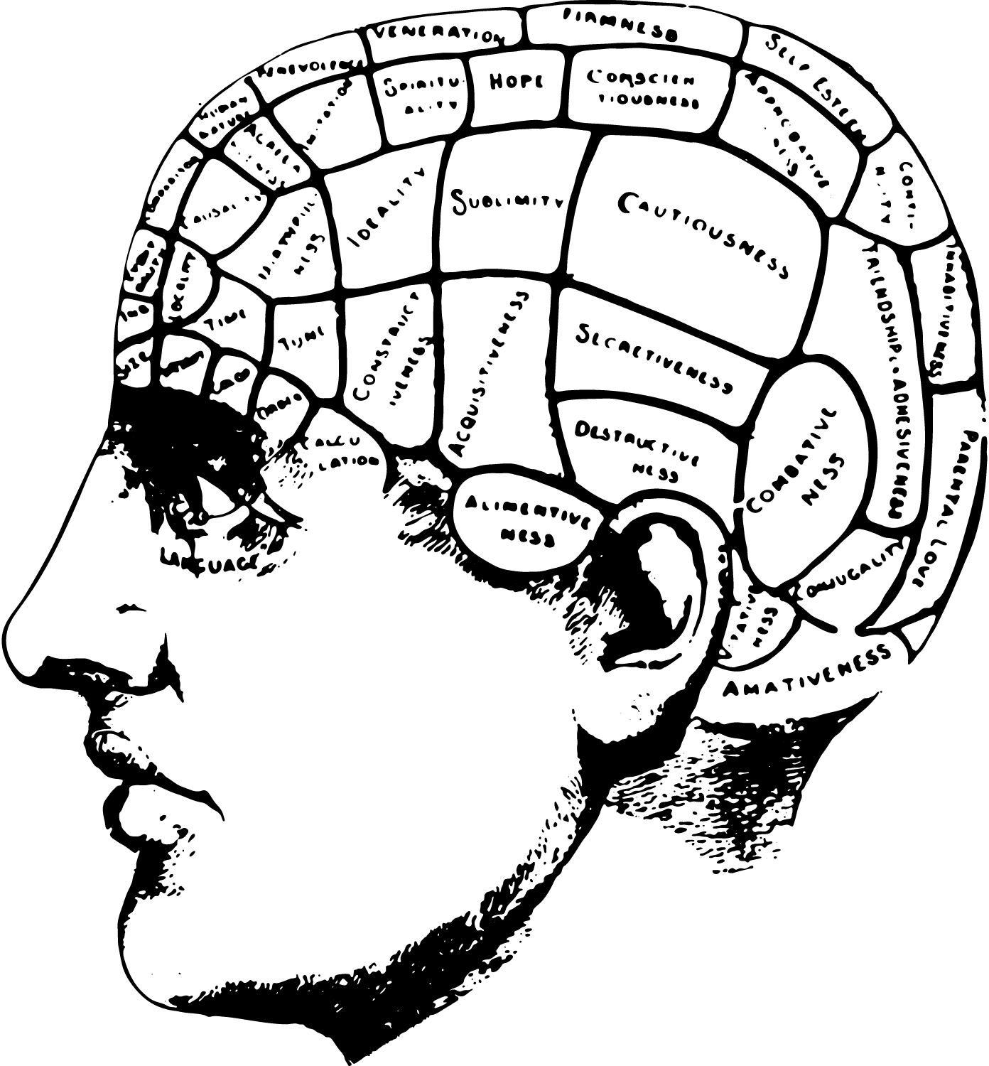 SaaS Dashboard