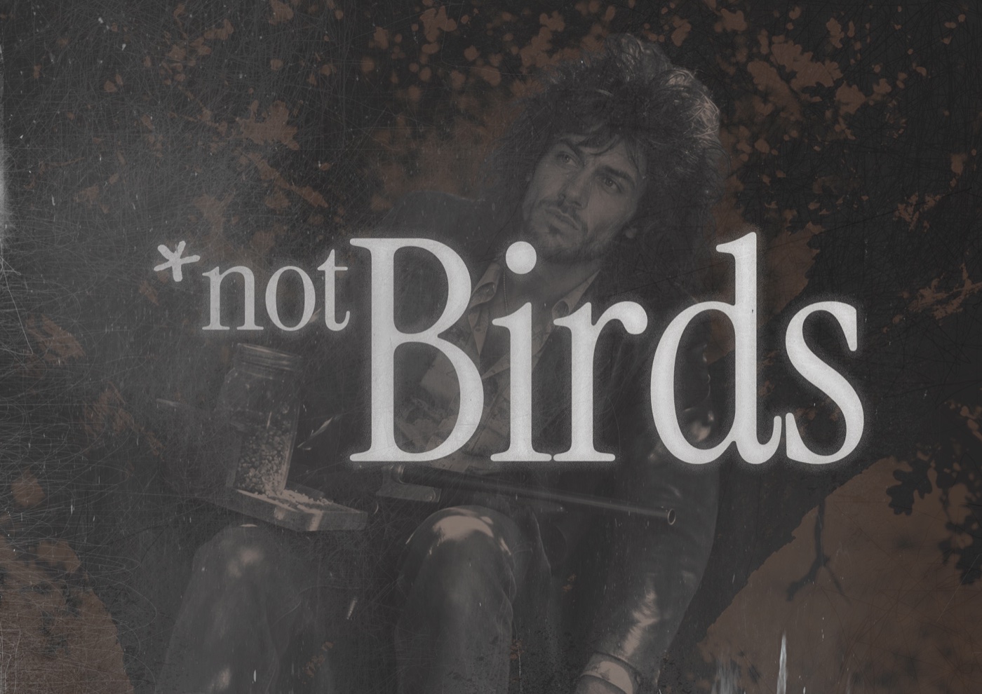 not Birds